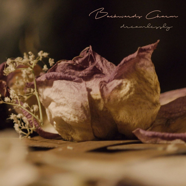 Dreamlessly album image