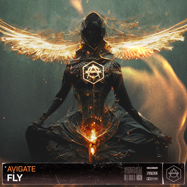 Fly cover art