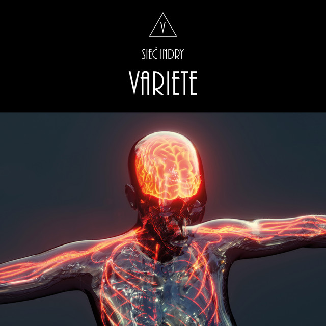 Sieć Indry cover art