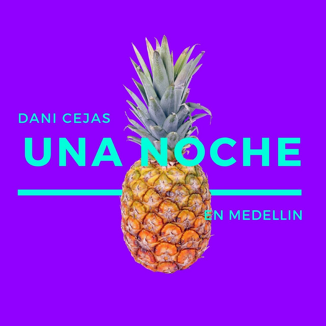 Una Noche en Medellin - Remix