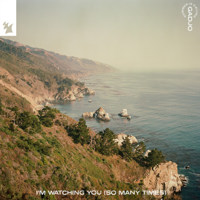 I'm Watching You (So Many Times) - Extended Mix album art