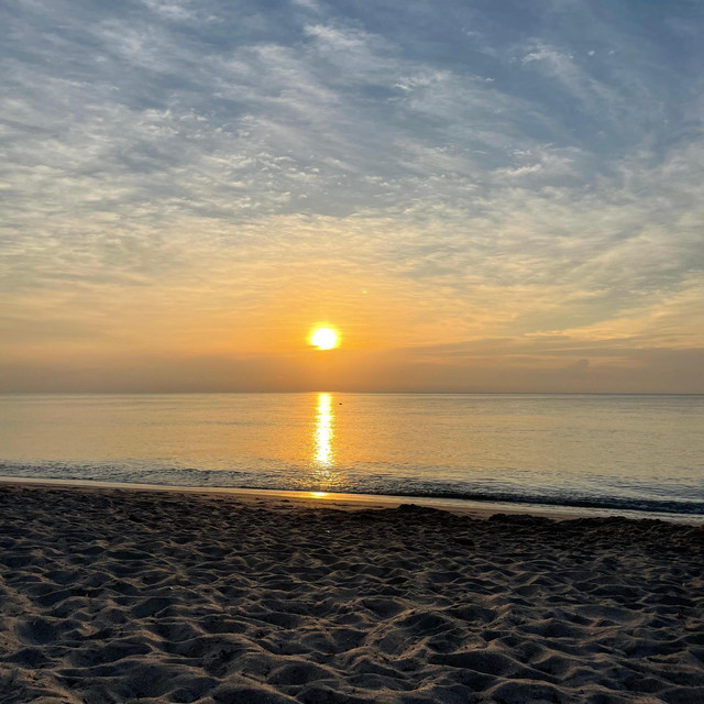 Sunshine cover art