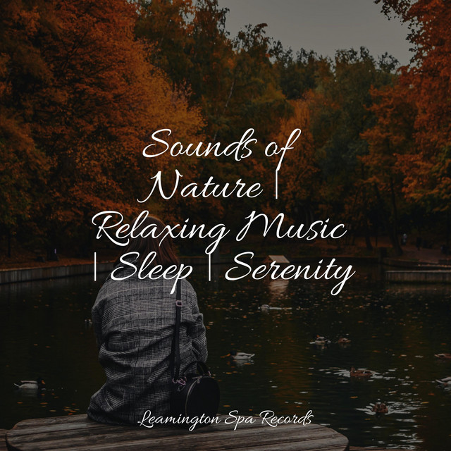 Sounds of Nature | Relaxing Music | Sleep | Serenity - Album by Ambient ...