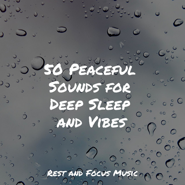 50 Peaceful Sounds for Deep Sleep and Vibes - Album by Meditação ...