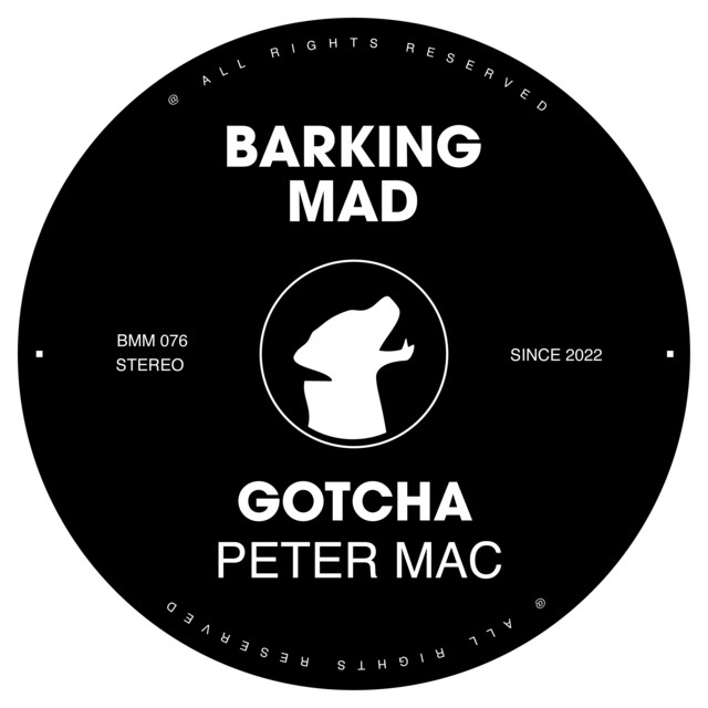 Gotcha album art