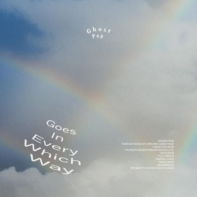Goes In Every Which Way cover art