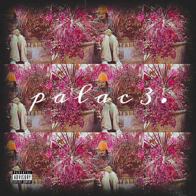 palac3. cover