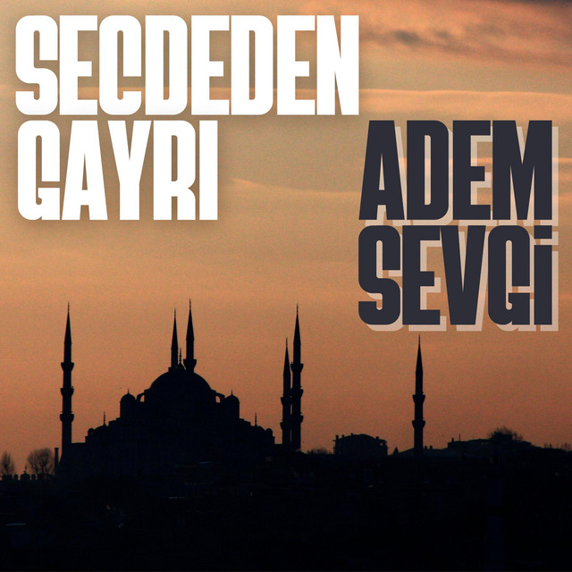 Secdeden Gayri cover art