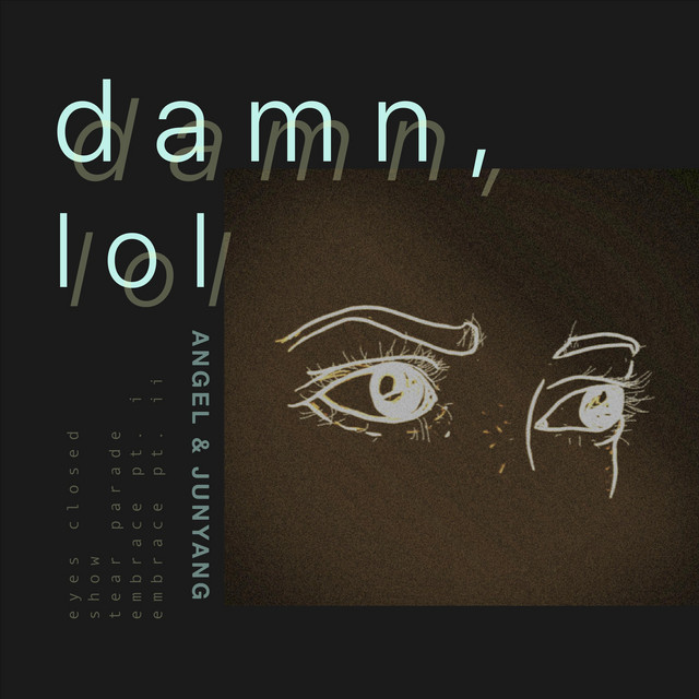 Damn, Lol cover art
