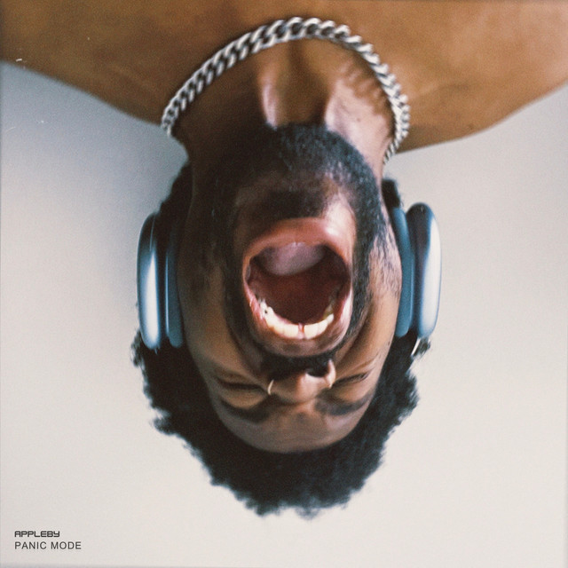 Panic Mode cover art