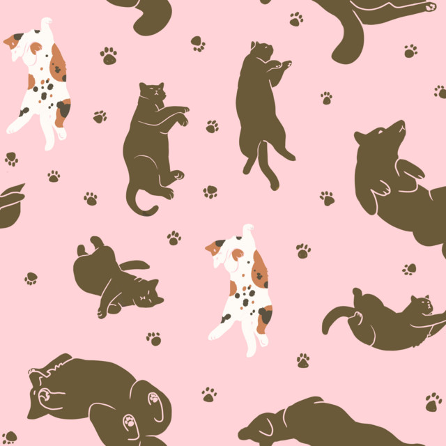 Calico: Pawsome Collection: DX cover art