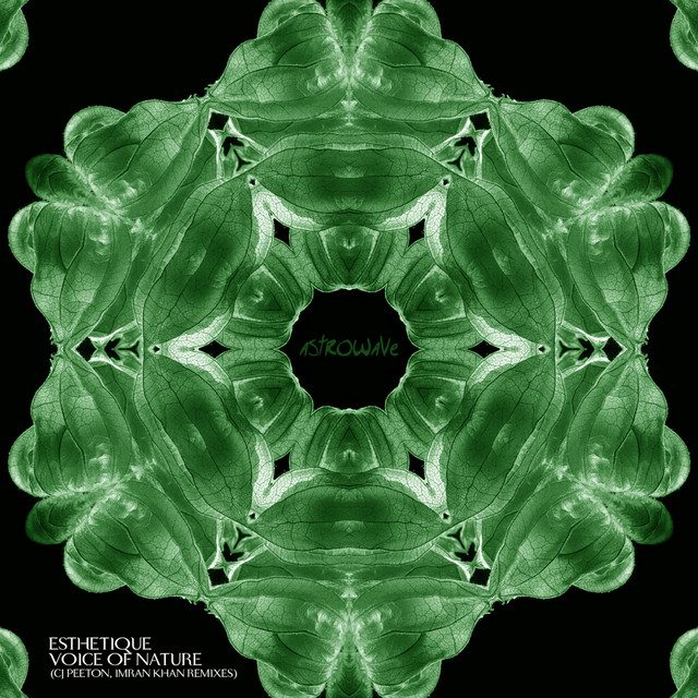Voice of Nature - Imran Khan V2 Remix album art