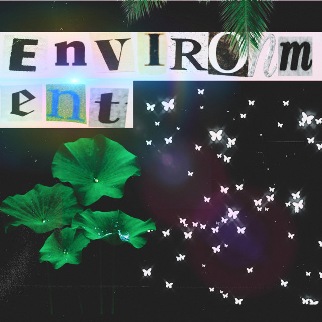 ENVIRONMENT - song and lyrics by ilySheki | Spotify
