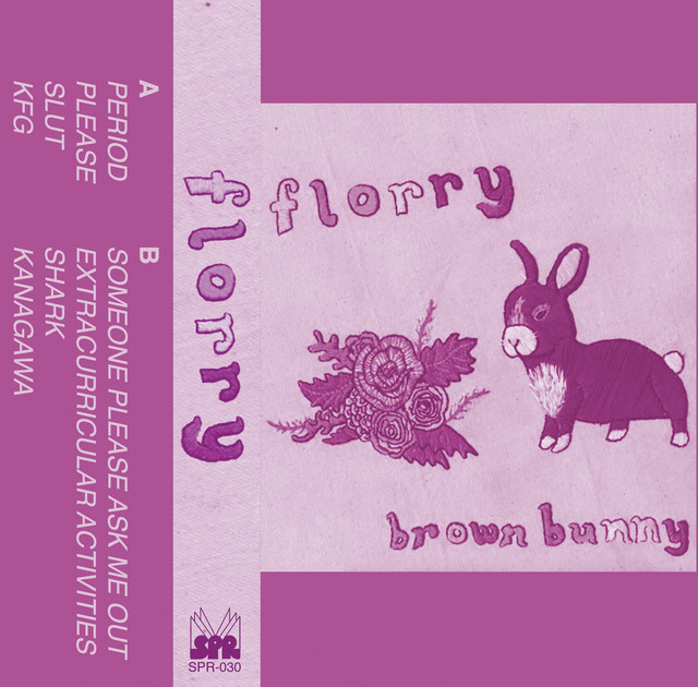 Brown Bunny cover art