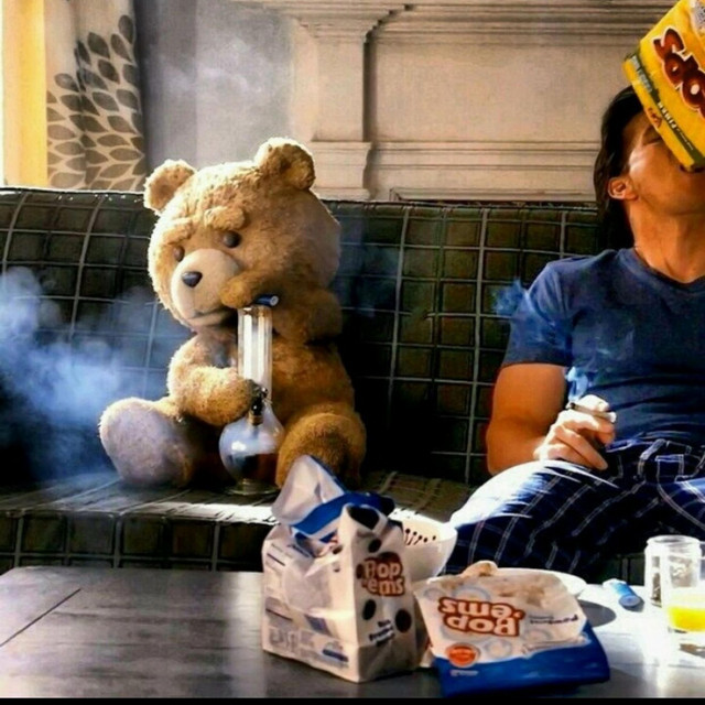 Ted cover art
