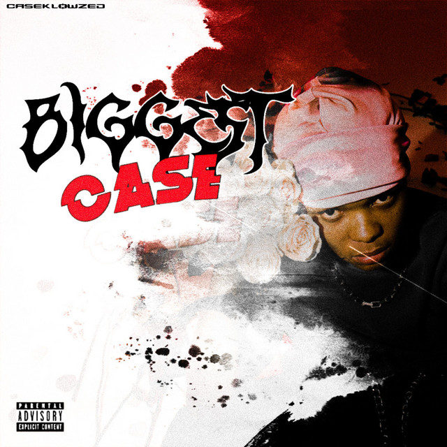 BIGGEST CASE cover art