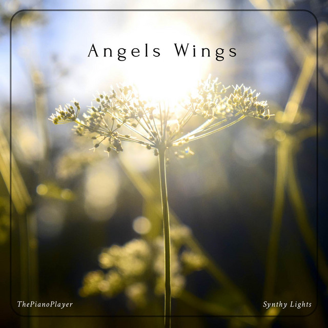 Angels Wings