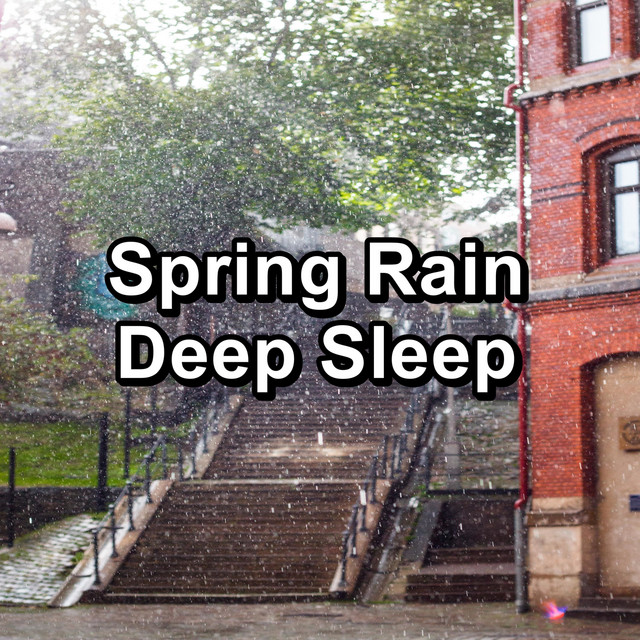 Spring Rain Deep Sleep - Album by Calming Sounds | Spotify