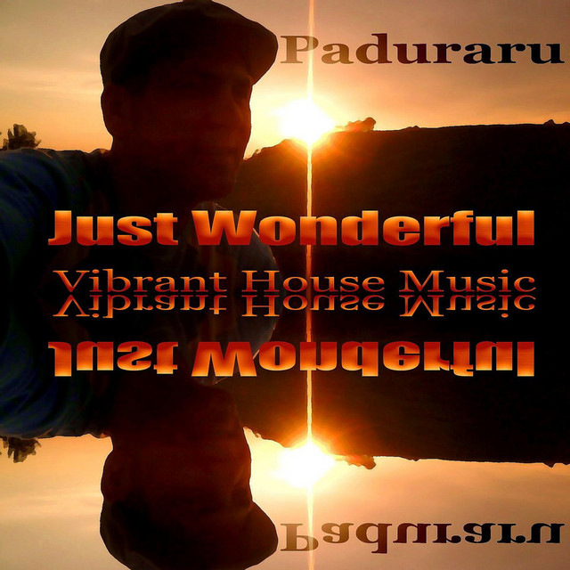 Just Wonderful (Vibrant Housemusic) cover