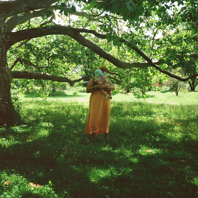 In the Wild (Reimagined) album image