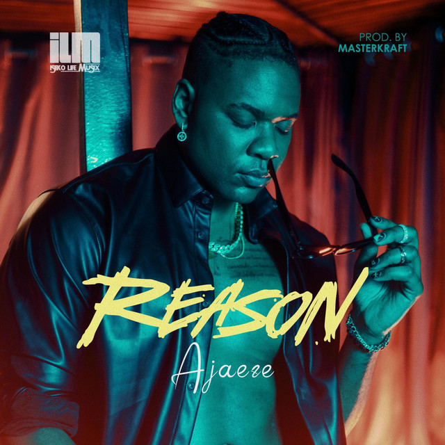 Reason cover art