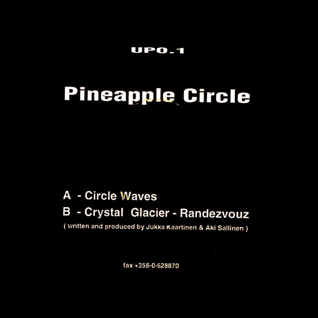 Pineapple Circle photo