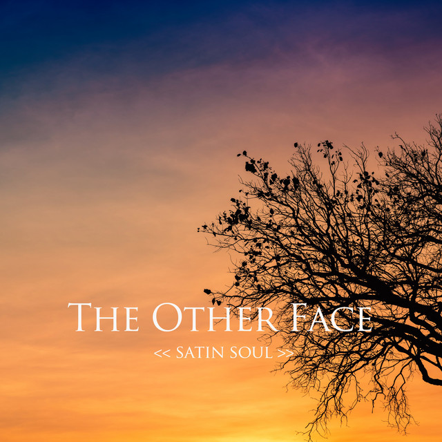The Other Face Photo