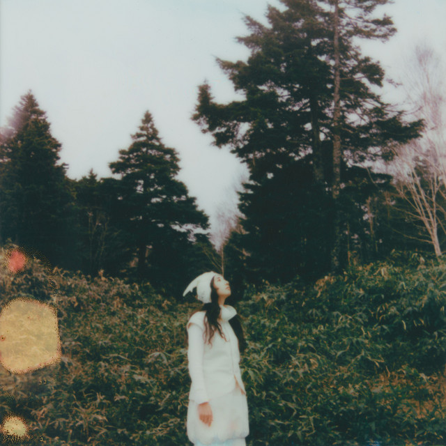 地球 cover