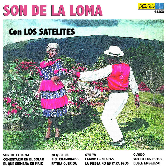 Cover du titre La Fiesta No Es para Feos