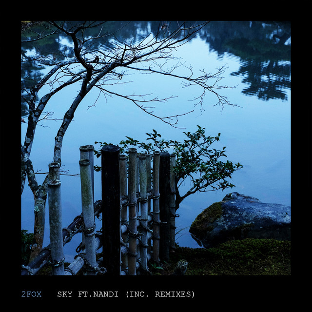 Sky cover art