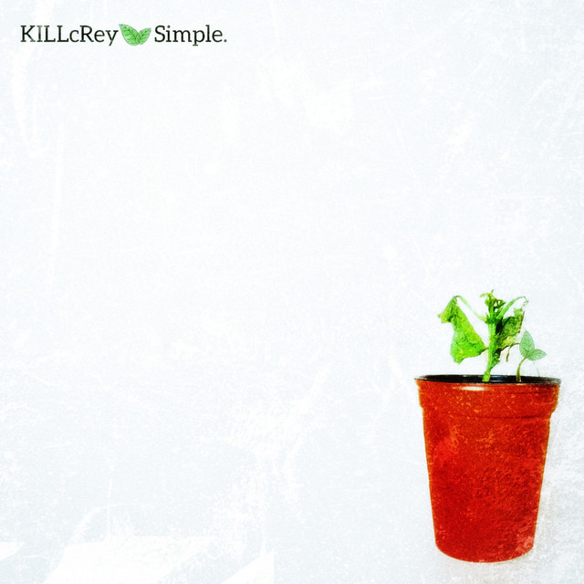 Simple cover