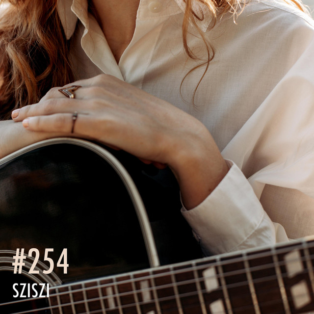 #254 cover art