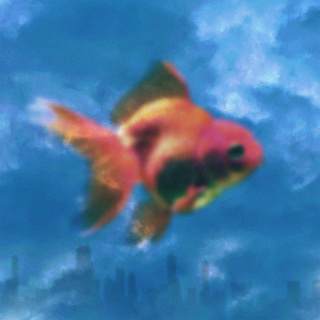 Fish Bowl