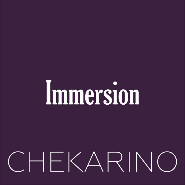 Обкладинка: Immersion — Chekarino