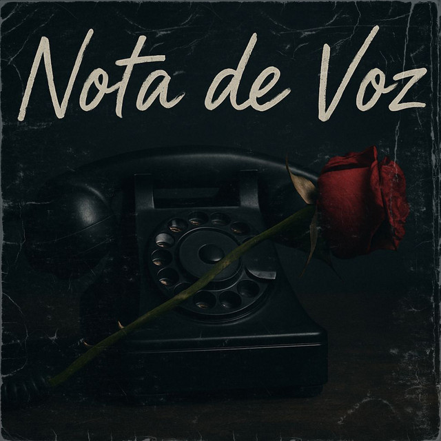Nota de voz
