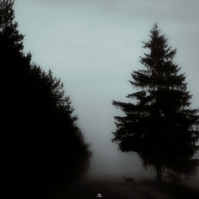 Синий туман cover art