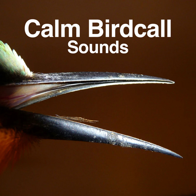 Calm Birdcall Sounds - Album by Calm Bird Sounds | Spotify
