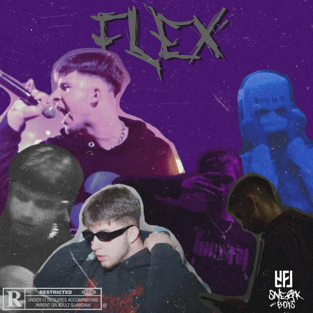 FLEX cover art