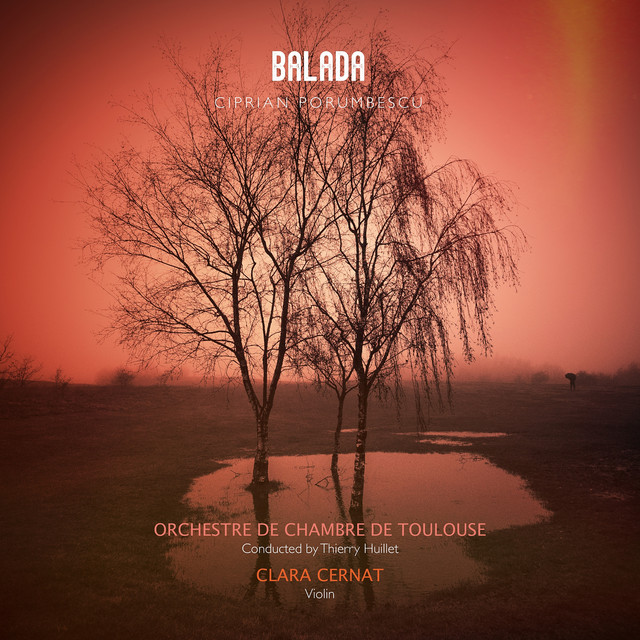 Balada (For Violin & String Orchestra) album image