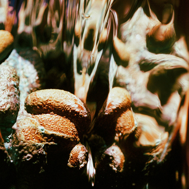 reveries cover art