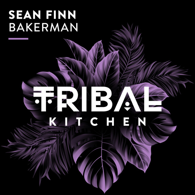 Bakerman - Extended Mix album art