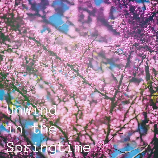 Unwind in the Springtime - Album by Nature Sounds | Spotify