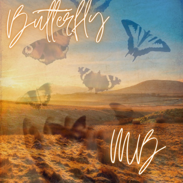 Butterfly - Single by MB | Spotify