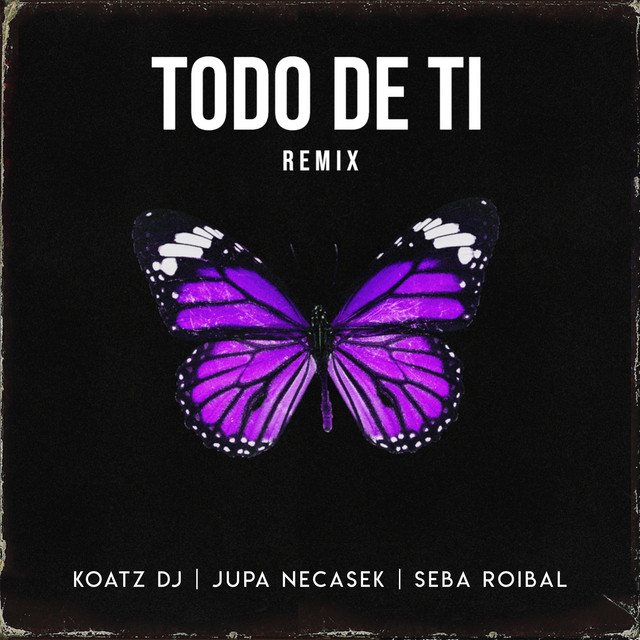 Todo de Ti - Remix