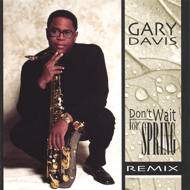 Don't Wait For Spring Remix cover art