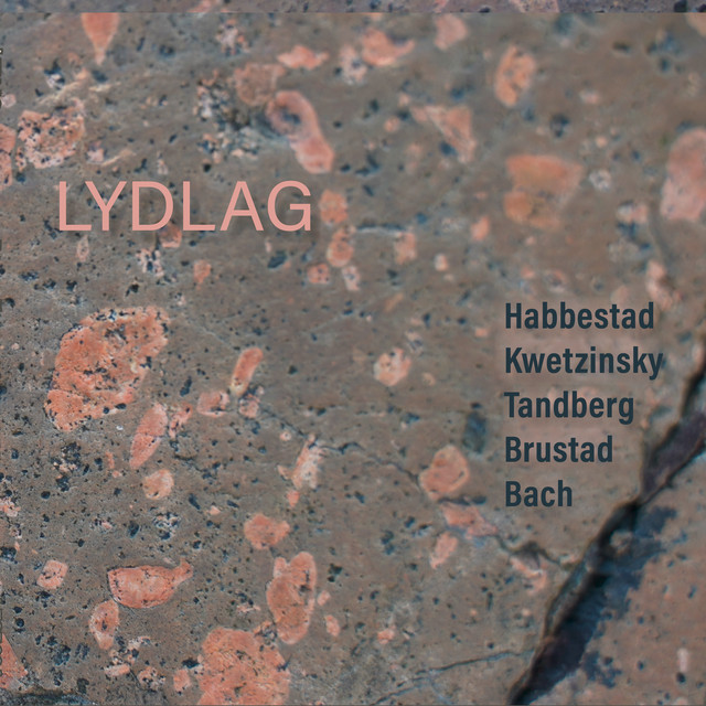 Kari Beate Tandberg - Den membranøse labyrint: urframføring - Live cover art