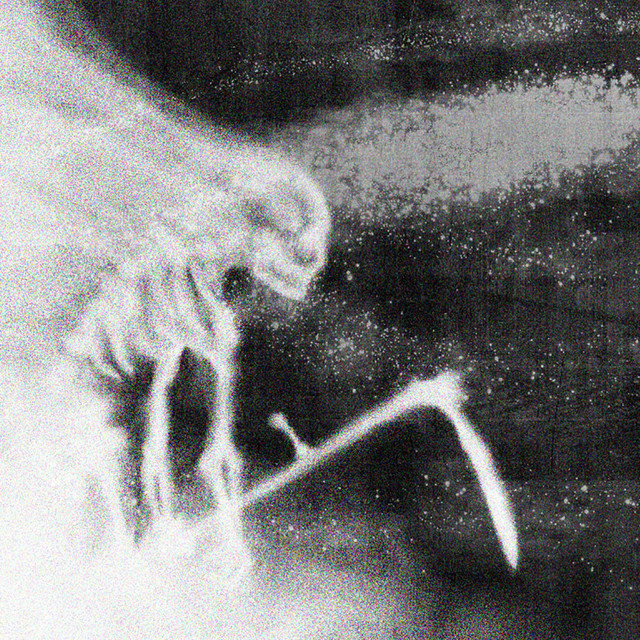 wraith cover art