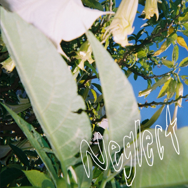 Neglect cover art