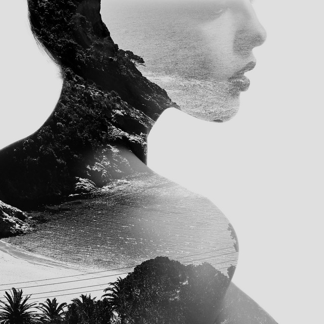 Skinscape cover