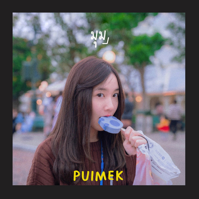 มุม - Playground cover